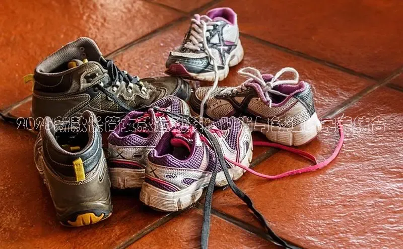 熊猫体育免费直播