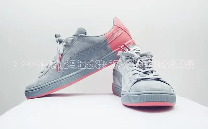 熊猫体育免费直播